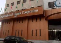 OIC condemns Deadly Terrorist Attack on Soldiers in Niger
