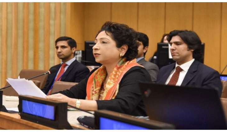 Pakistan urges world to protect Kashmiris particularly children in Occupied Kashmir