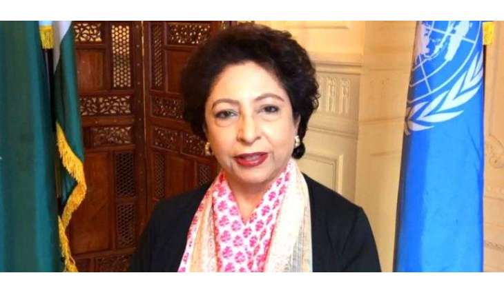 Pakistan calls for stepped up efforts to counter unjust defamation of religions