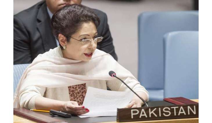 Pakistan supports investigation into human rights violations in Occupied Kashmir: Maleeha Lodhi