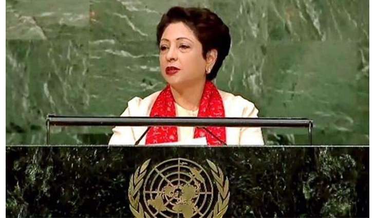 Grave humanitarian catastrophe brewing in Occupied Kashmir: Maleeha Lodhi