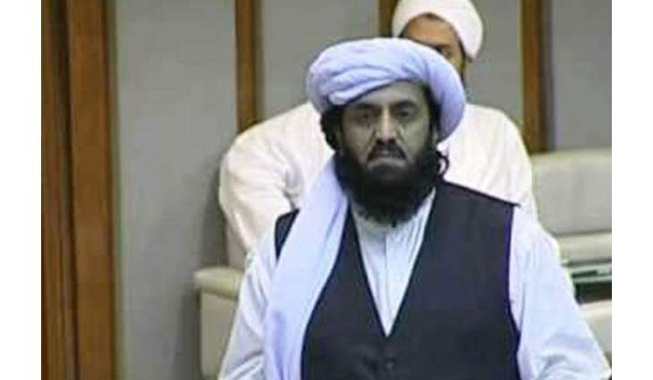 JUI-F leader Hafiz Hamdullah loses his citizenship