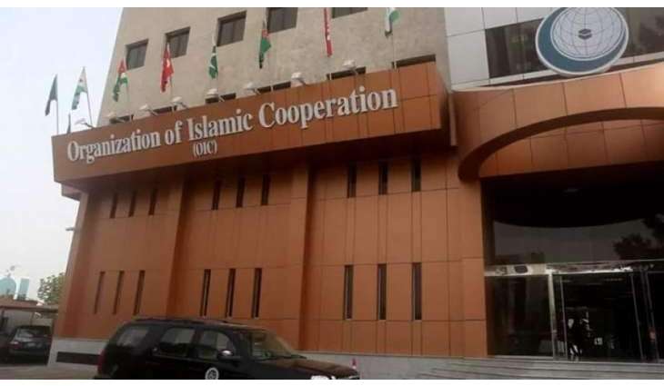 OIC condemns Deadly Terrorist Attack on Soldiers in Niger
