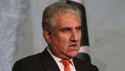 Foreign Minister (FM) Shah Mehmood Qureshi asks Maulana Fazlur Rehman to review date for launching Azadi March