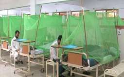 MHUs conducts dengue screening test for 4,711 people, 228 found positive in Rawalpindi