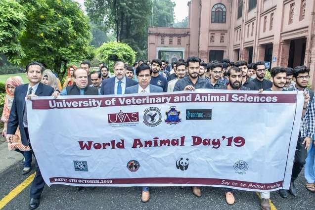 World Animal Day observed at UVAS