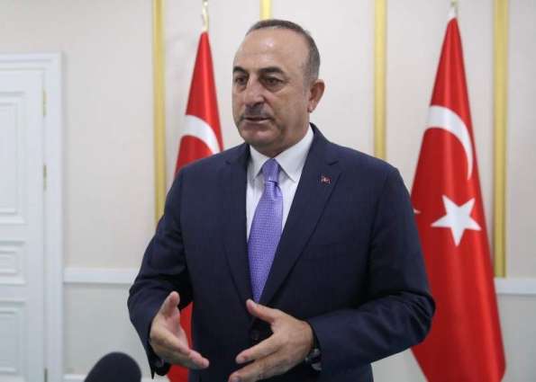 Turkey Supports Syria's Integrity, Aims to Clear Area of 'Terrorists' - Foreign Minister