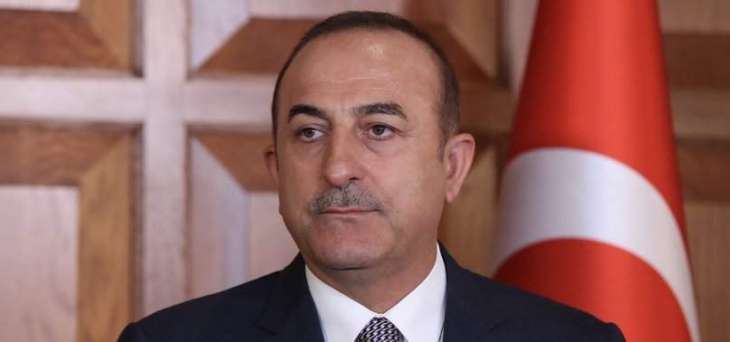 Turkish Operation in North Syria Complies With International Law - Foreign Minister