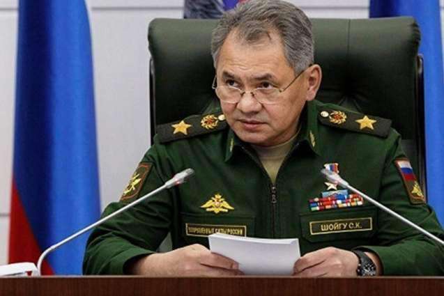 Shoigu, Esper Discuss Situation in Syria in Phone Talks on Tuesday