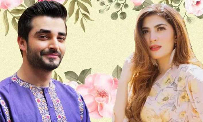 Pictures of Hamza Ali Abbasi's lookalike take social media by storm