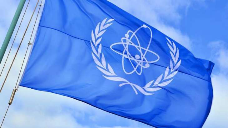 IAEA's Board of Governors to Officially Vote on Director General on Oct 21 - Russian Envoy