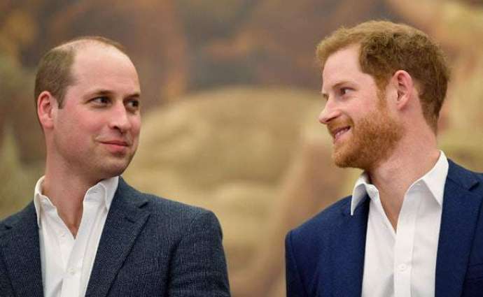 Prince Harry admits he and Prince William are  on different paths'