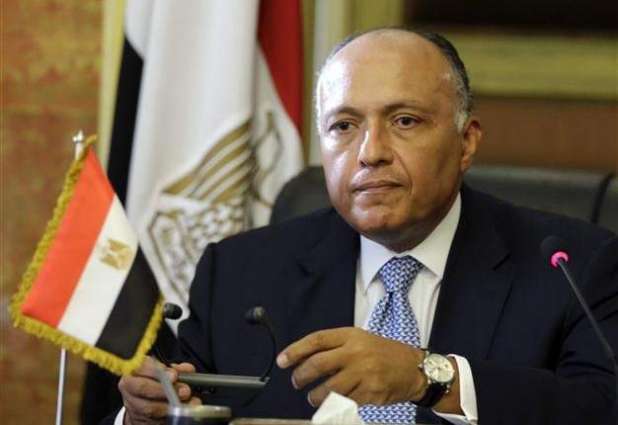 Russia-Africa Summit to Focus on All Topics of Mutual Interest - Egyptian Foreign Minister