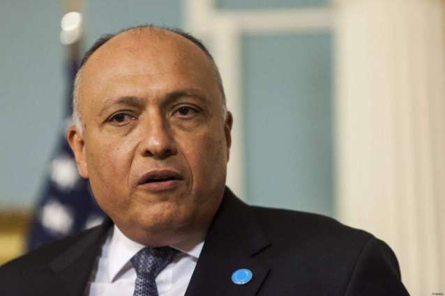 Competition in Africa Contributes to Continent's Development - Egyptian Foreign Minister