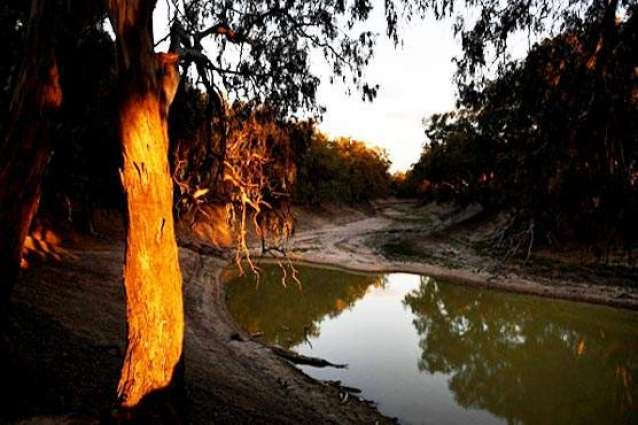 Thirst turns to anger as Australia's mighty river runs dry