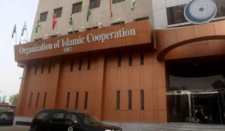 OIC condemns Deadly Terrorist Attack on Soldiers in Niger