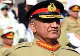 Pakistan has set on journey  to prosperity after sacrifices of security officials: Army Chief