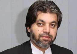 No record of $200 billion in foreign countries available with government: Ali Muhammad