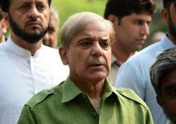 Shehbaz Sharif submits affidavit before LHC, says Nawaz Sharif will come back after treatment