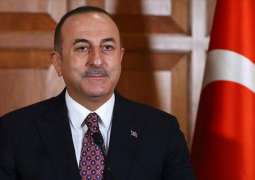 Turkey Requests Germany, US to Detain, Extradite Senior Kurdish Commander - Cavusoglu