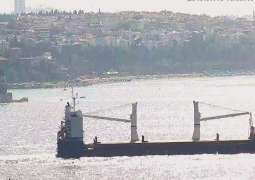 Crimea, Syria to Discuss Launching Maritime, Air Transportation - Official