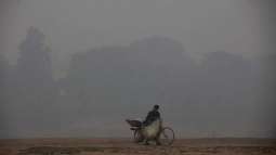 Major Rights Group Issues 'Urgent Action' Call Over Air Pollution in Pakistan's Lahore