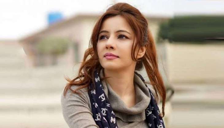 Rabi Pirzada makes heartfelt request to conceal her private videos, pictures