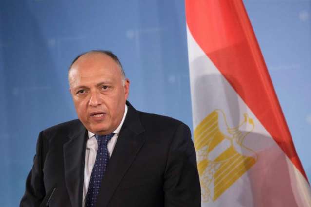 Nile River Dam Meeting in US Yields Progress, Plan for Future Talks - Egyptian Minister