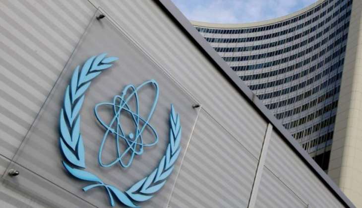 Next IAEA Chief Capable of Preserving Verification Regime Under Iran Nuclear Deal - NGO