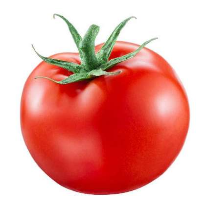 Price of per kg tomato exceeds value of single US dollar in Pakistan