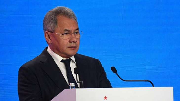 Russia Ready to Help Egypt Strengthen National Defense - Shoigu