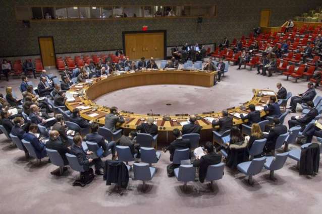 UNSC Adopts Resolution Renewing Partial Lifting of Somalia Sanctions for 1 Year