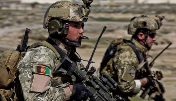 Afghan Armed Forces Killed Taliban Commander in Northern Province - Defense Ministry
