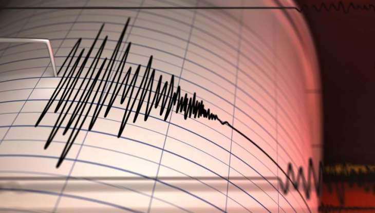 Four People Injured as Magnitude 5.9 Earthquake Hits Philippines - Reports