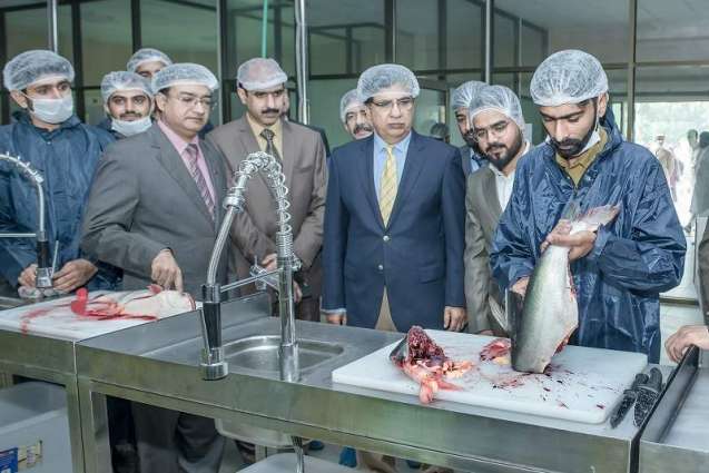 UE Vice-Chancellor Prof TalatNaseer Pasha inaugurate Fish Processing Unit on World Fisheries Day observed at Ravi Campus