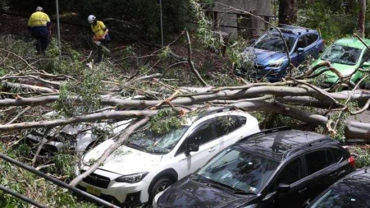 Severe Storm Sweeps Across Sydney, 48,000 Homes Without Power - Electricity Company