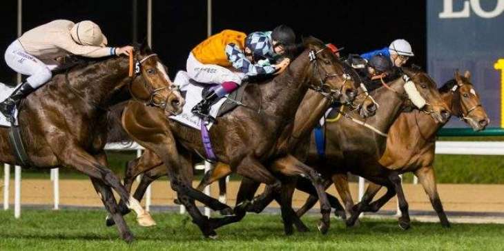 2020 Dubai World Cup Carnival accepted horses announced