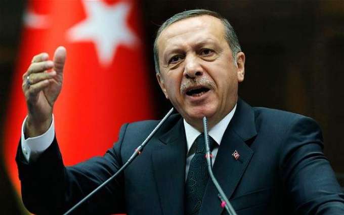 TurkStream Gas Pipeline to Be Launched in Istanbul on January 8 - Erdogan