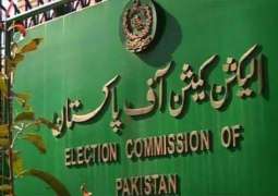 Appointments with ECP: Custodians of Senate, NA warn parliamentary committee