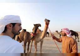 Al Dhafra Festival to showcase cultural and heritage events