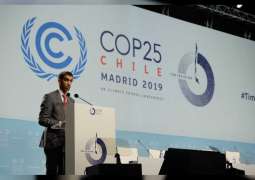 Al Zeyoudi highlights country’s experience in climate change adaptation at COP25