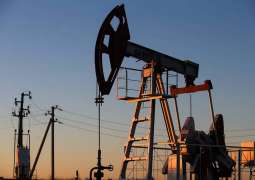 Oil Companies Not Yet Given Exact Quotas on Oil Output Under New OPEC+ Cuts - Lukoil