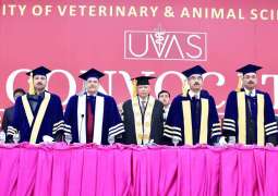 Chancellor/Governor Punjabchairs 11th UVAS Convocation;1,470 graduates awarded degrees, 78 medals