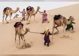 "رحلة الهجن" تكمل 500 كيلومتر على الابل وسط كثبان صحراء الإمارات