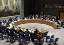 Non-Permanent UN Security Council Members Call for Syrian Cross-Border Mechanism Renewal