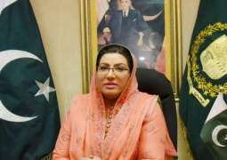 External elements and their internal stooges will fail in their sordid designs of weakening institutions: Firdous Ashiq Awan