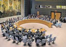 UNSC Rejects Russian Resolution on Cross-Border Humanitarian Assistance in Syria