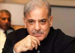 Accountability court summons Shehbaz Sharif in person on January 7