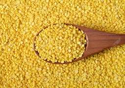 Moong pulse price touches Rs 220 to Rs 260 per kg