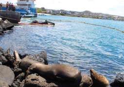 Ecuadorian Authorities Have Galapagos Islands Oil Spill Under Control -  Environment Minister Raul Ledesma
